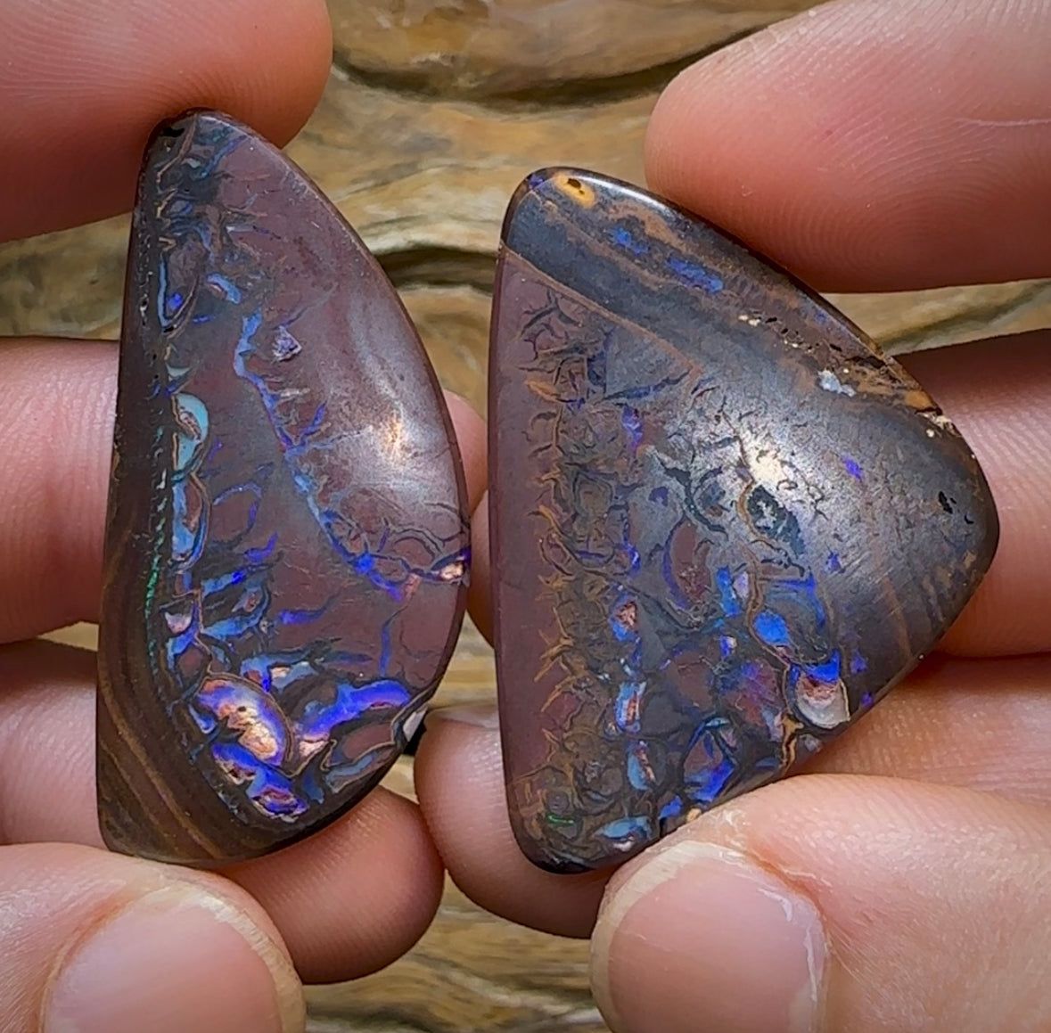 90cts - Koroit Nut Opal Pair. BLACK TRIBAL PATTERN - Opal Whisperers
