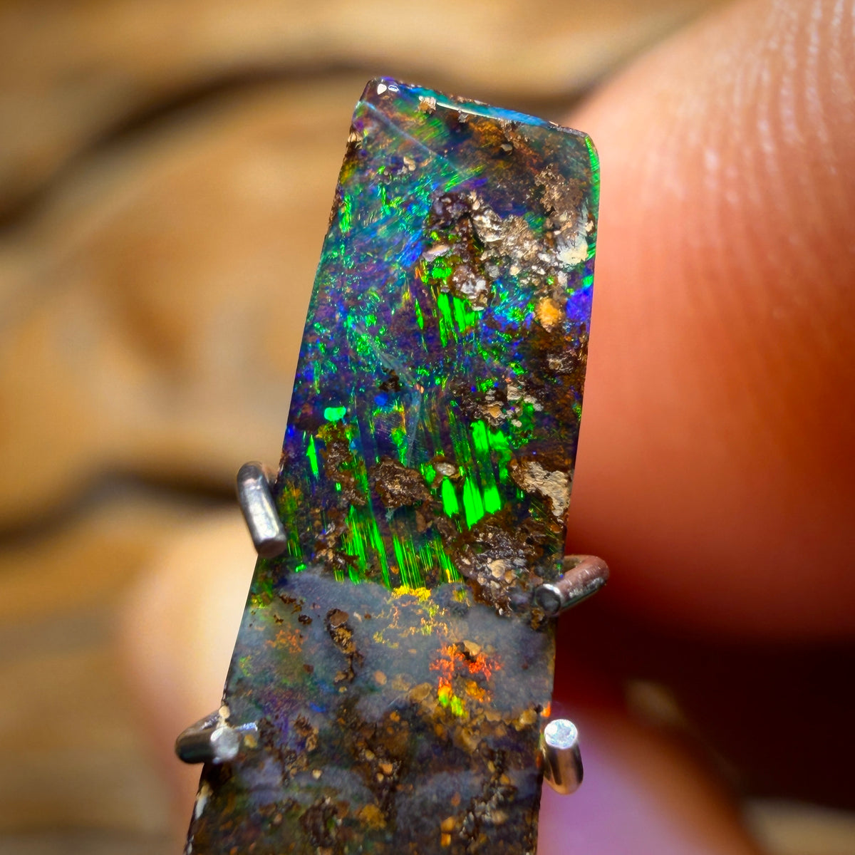 1.6cts - Australian Boulder Seam Opal from Winton