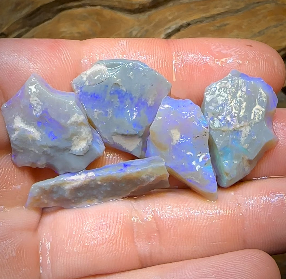 59.5cts - 5x Lightning Ridge Opal Rough Parcel