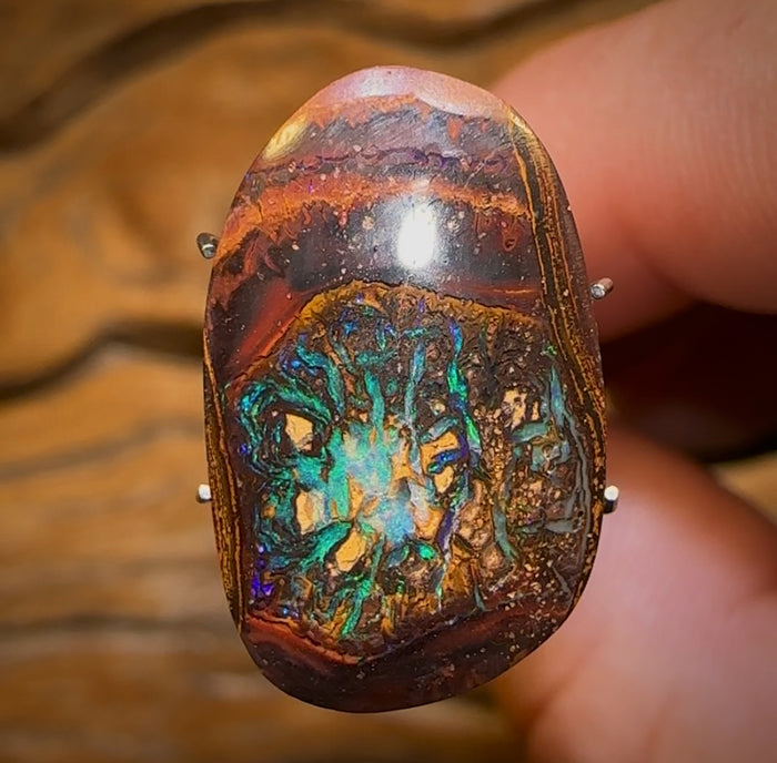 🔨 AUCTION 🔨 9.35cts - Yowah Nut Kernel Opal