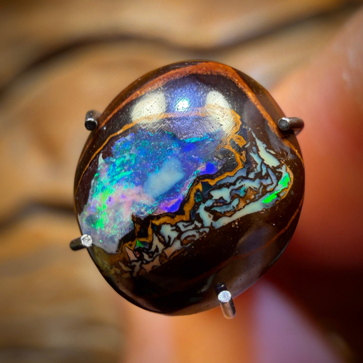 2.4cts - Small but Sweet Yowah Nut Crystal Centre Opal. Australian Boulder Opal