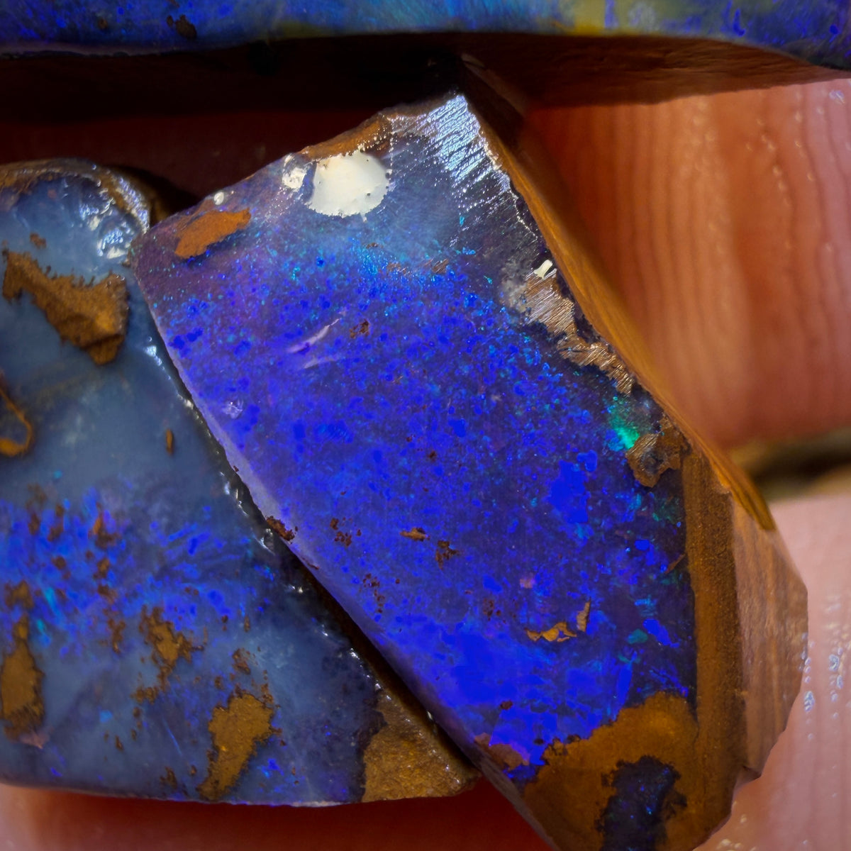 🔒40.1cts - 3x Australian Boulder Seam Opal Rubs Parcel