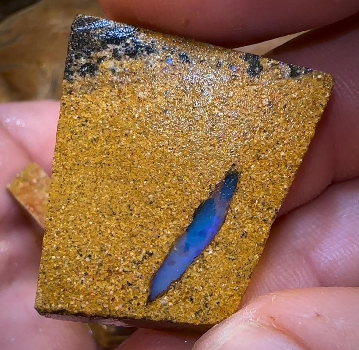 161.5cts - 5x Queensland Boulder Pipe Opal Rough Parcel BARGAIN