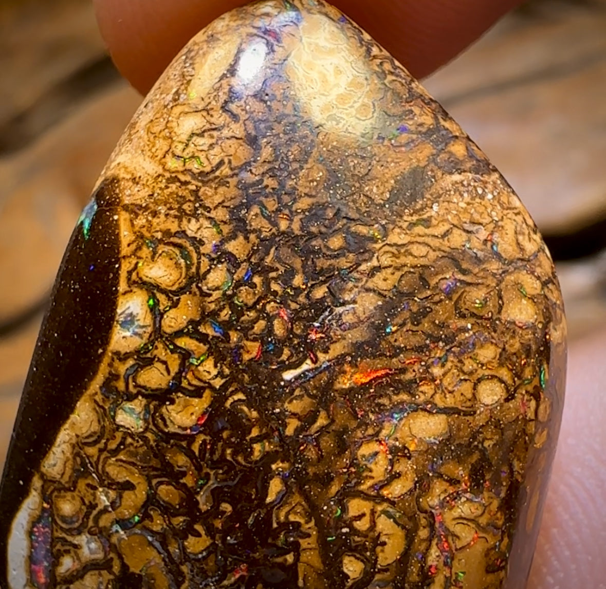 53.6cts - Tribal Australian Boulder Opal from Yowah