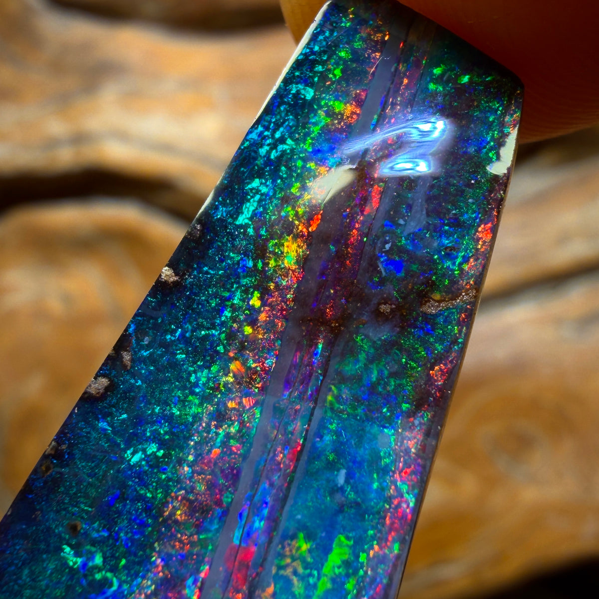 “Set in Stone” - Private Collector Acquisition - “Red Carpet” 19.9cts - Top Australian Boulder Seam Opal