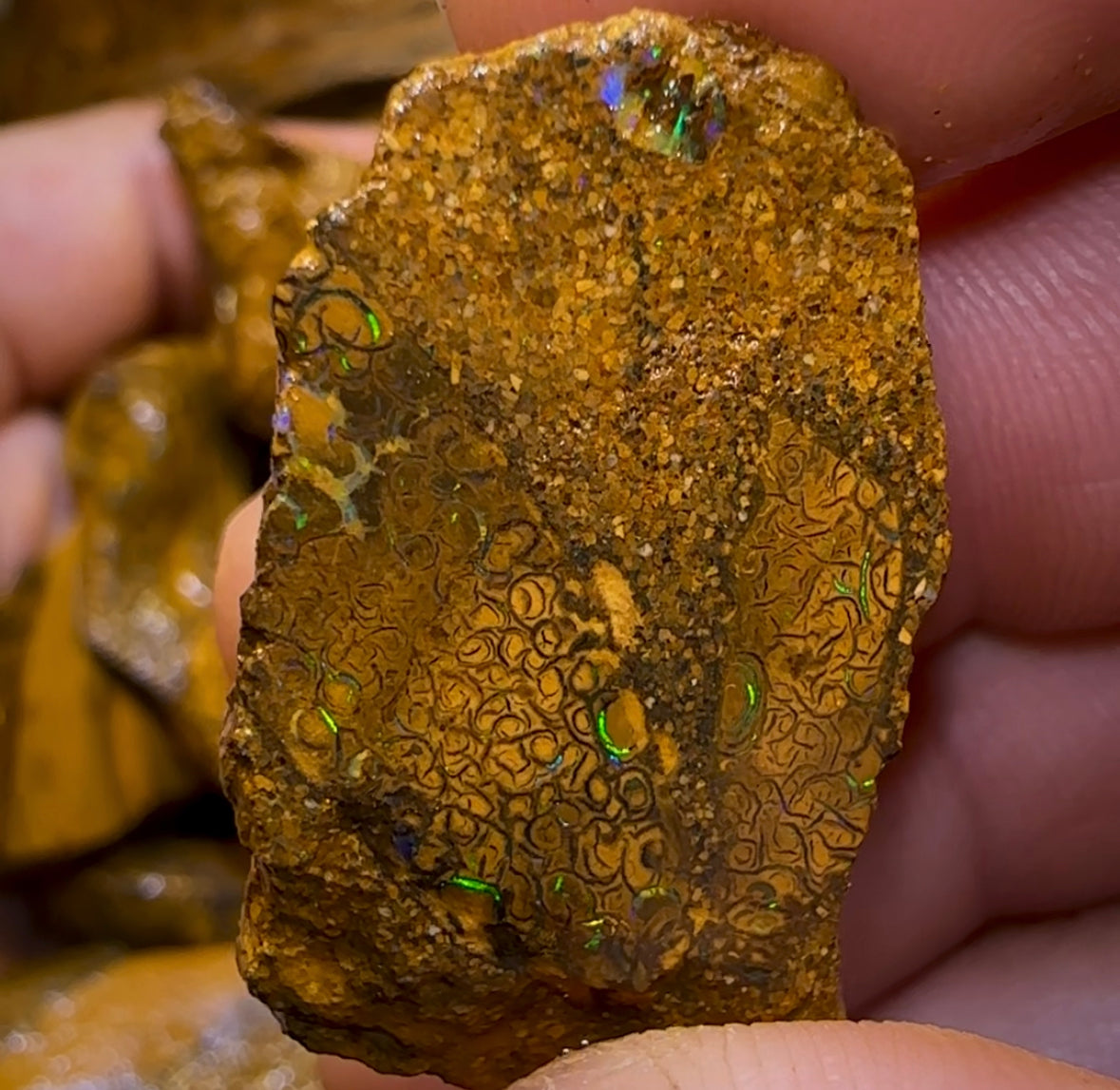 261.1g - 27x Yowah Nut Rough Opal Parcel. Queensland Boulder Opal 30c/ct Bargain - Opal Whisperers