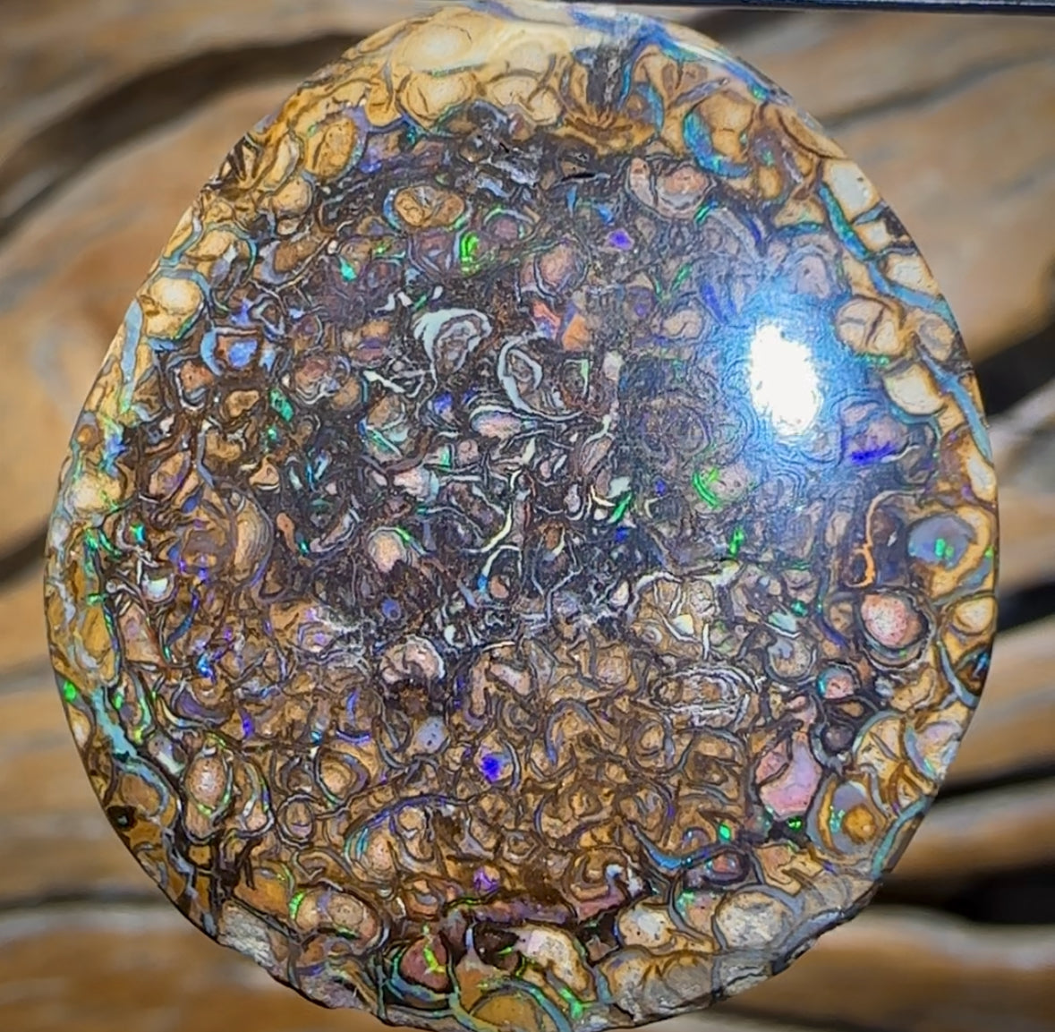 Solid Unisex Tribal Queensland Boulder Opal Pendant