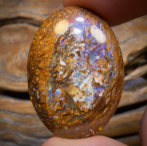 43.7cts - Tribal Australian Boulder Opal from Yowah