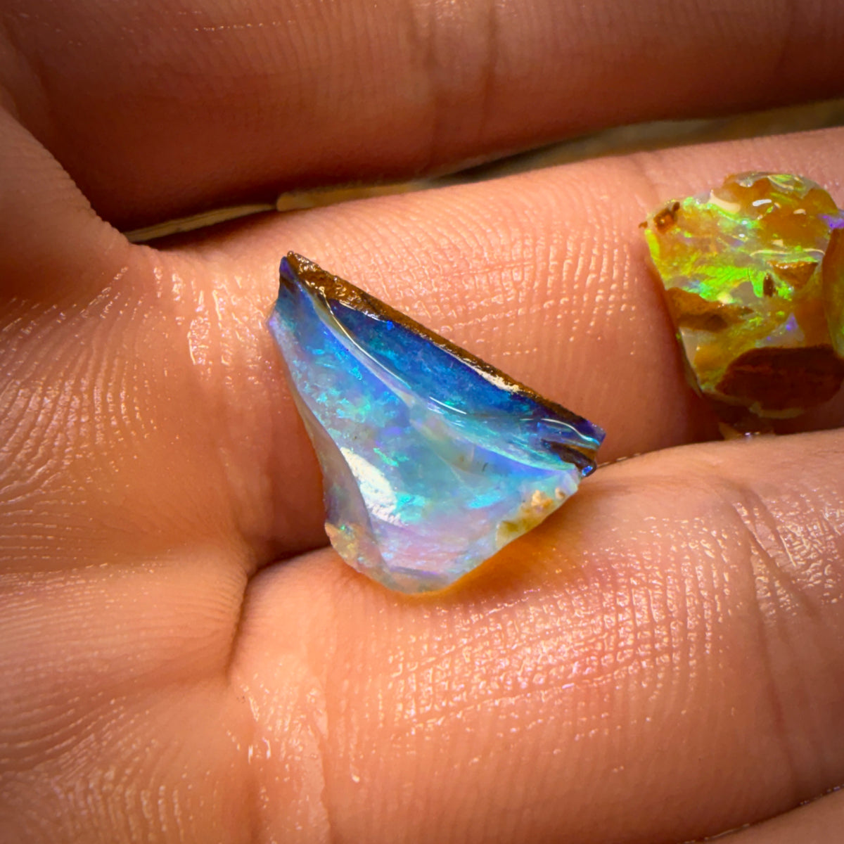 16.8cts - 4x Australian Yowah Wood fossil Crystal Opal Rough Pieces. Highly Prized Material