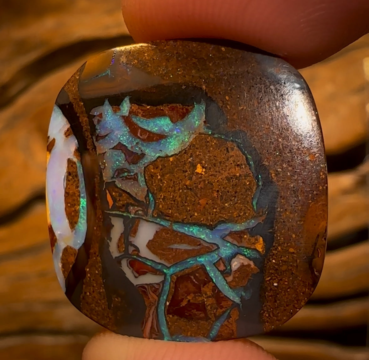 16.4cts - Tribal Queensland Boulder Opal