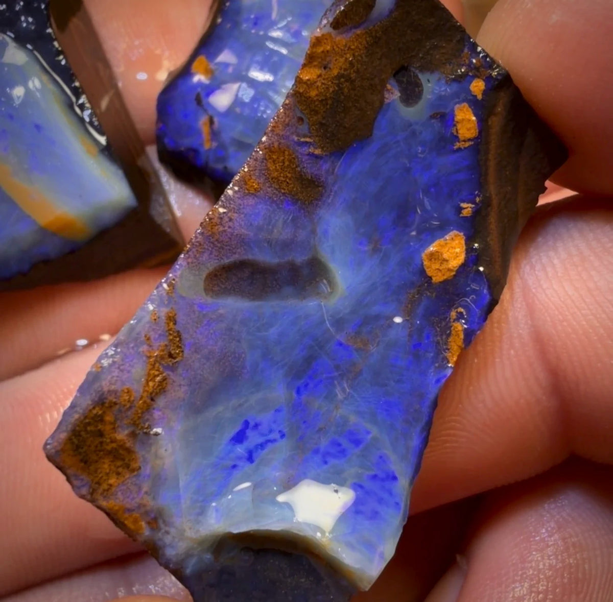 🔒 I’ve Got the Blues Collection 175.3cts - 3x Australian Boulder Seam Opal Rough Parcel