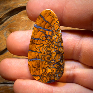 39.5cts - Tribal Queensland Boulder Opal from Yowah