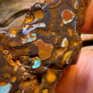 HDW 285.9cts - Yowah Nut Conglomerate Rough Piece. Australian Boulder Opal