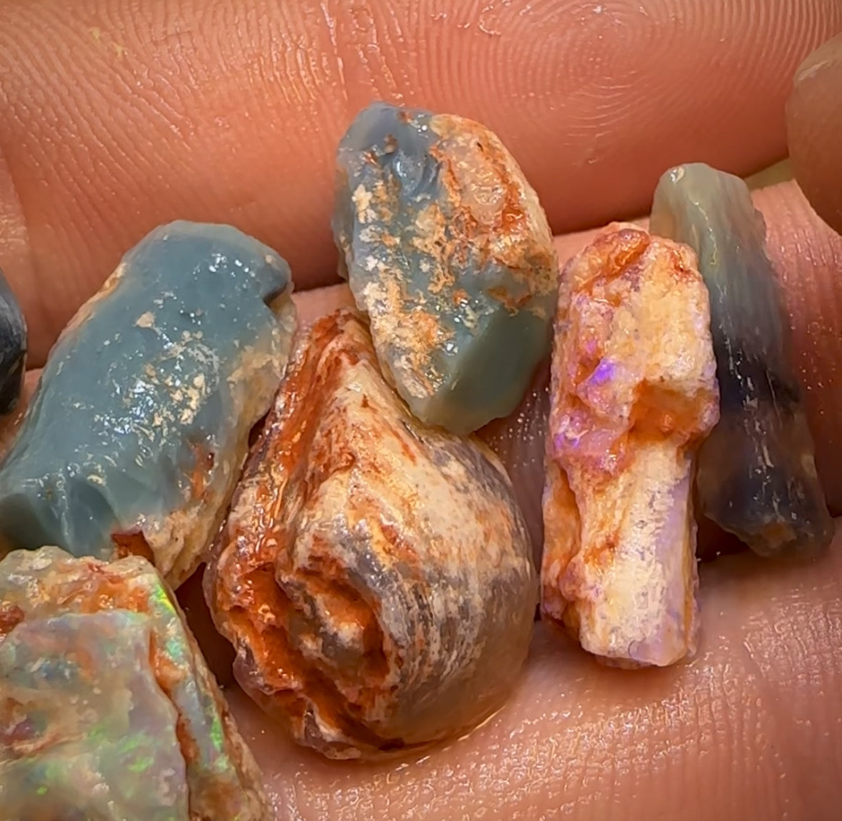 57.9cts - 9x Opalised Fossil Geological Specimens from Lightning Ridge