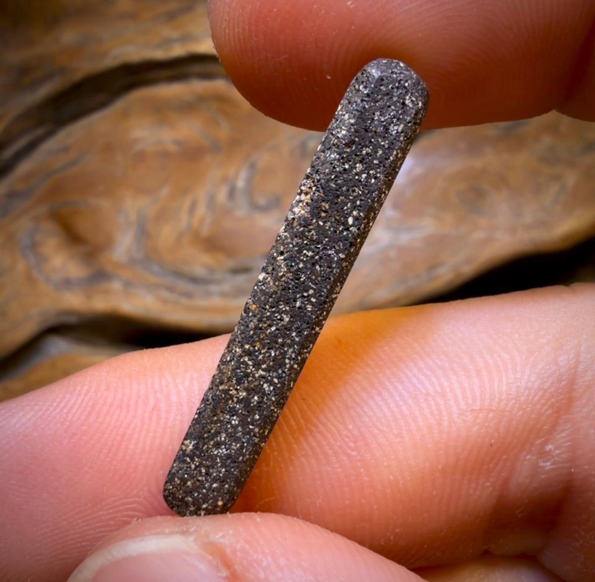 10.1cts - GEM Queensland Boulder Seam Opal. Red Multicolours!