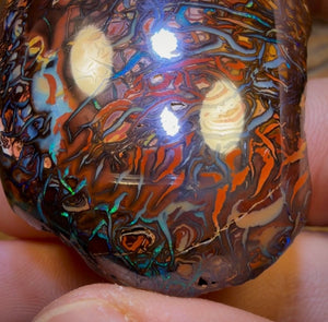 341.8cts - Large Koroit Tribal Australian Boulder Opal. Polished Specimen