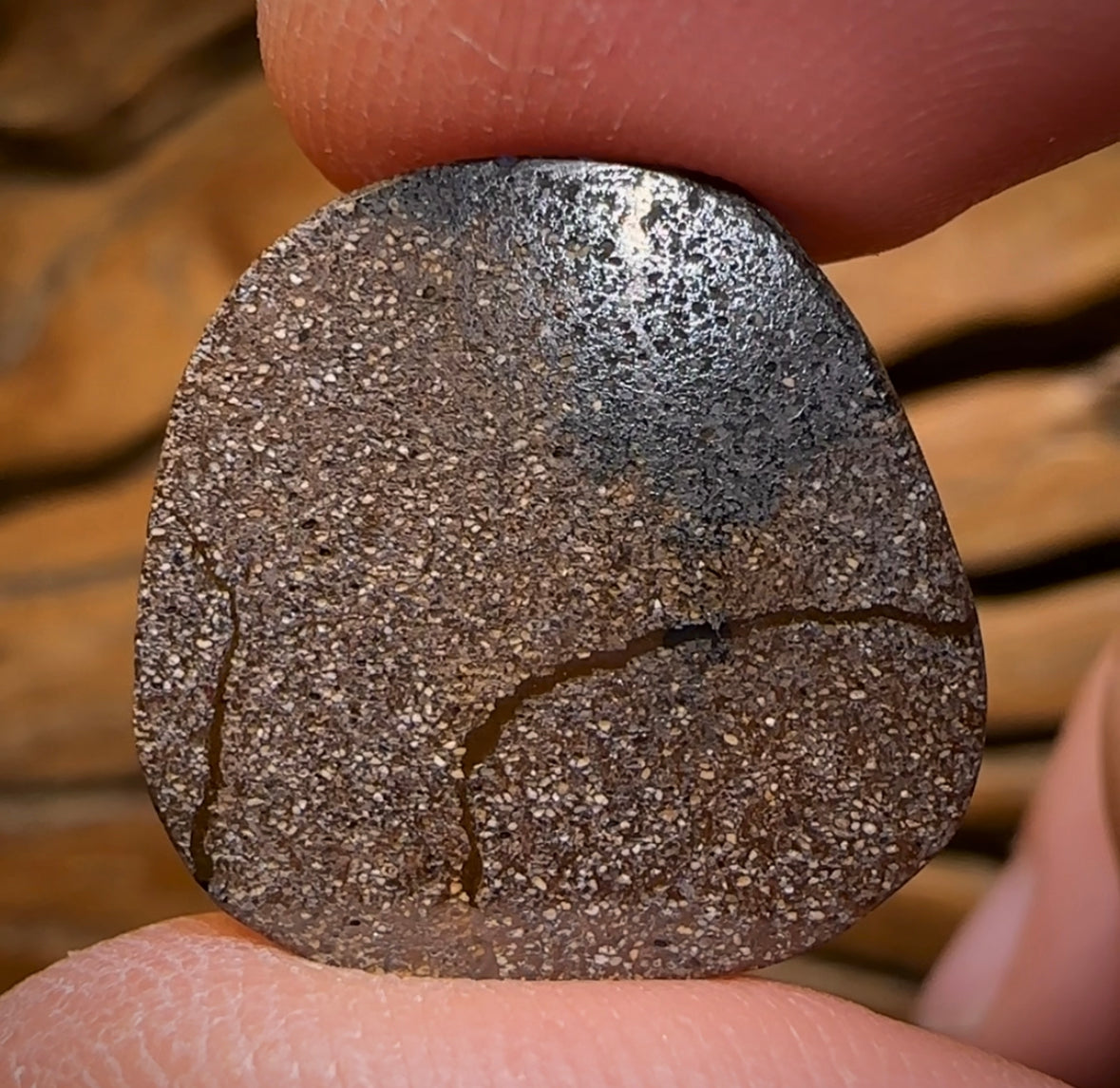 16.7cts - Queensland Boulder Seam Opal Picture Stone