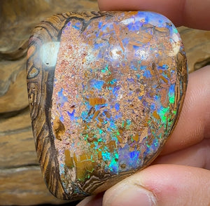 240.3cts - Yowah Nut. Australian Boulder Opal - Opal Whisperers