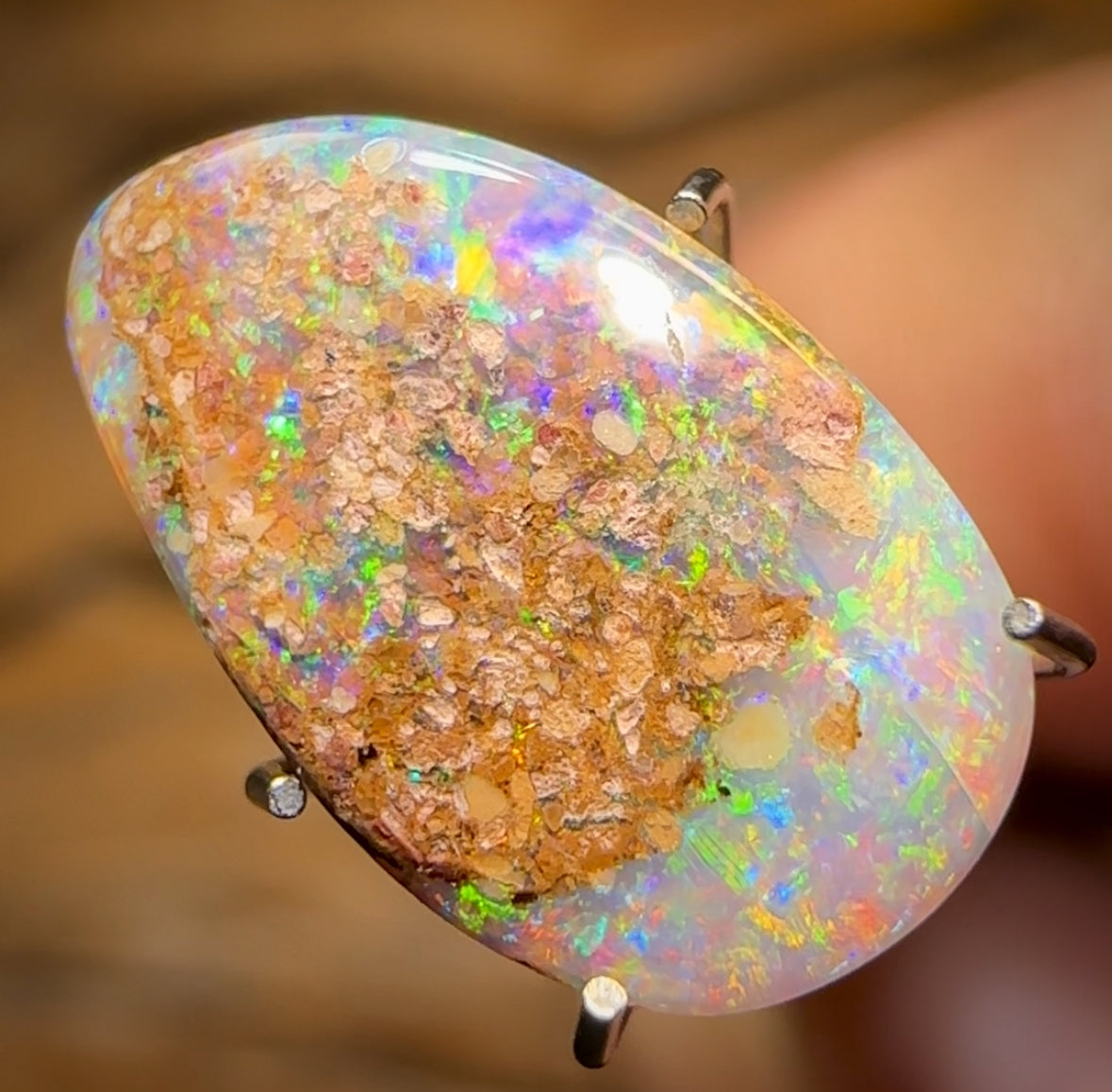 2.2cts - Solid Australian Boulder Pipe Opal