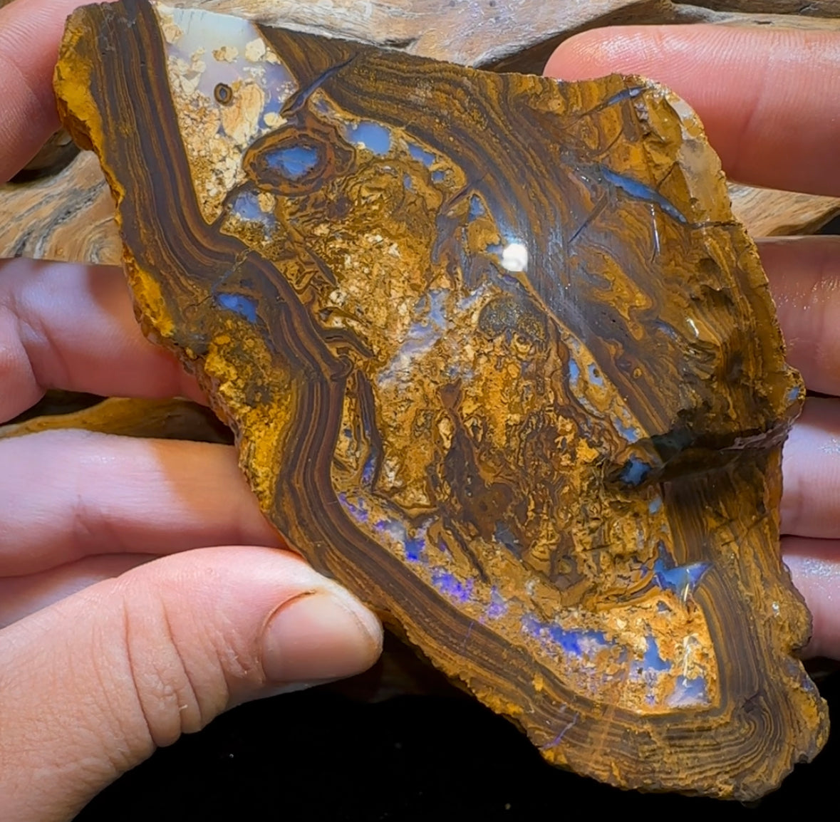 306.3g - Large Yowah Nut Opal Rough Slab - Opal Whisperers