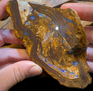 306.3g - Large Yowah Nut Opal Rough Slab - Opal Whisperers