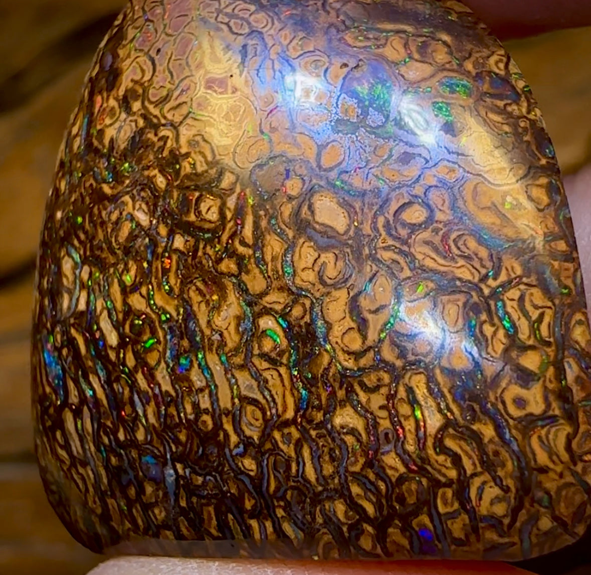 73.3cts - Queensland Boulder Opal from Yowah. Red Tribal
