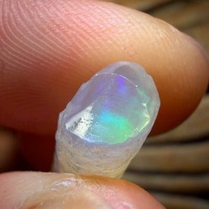 30.7cts - 3x Opalised Belemnite Geological Specimens from South Australia