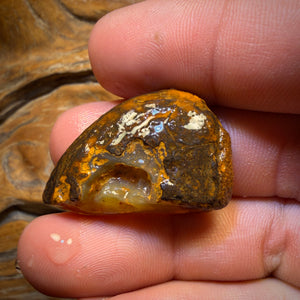 🔨 AUCTION 🔨 50.8cts - Yowah Nut Crystal Centre Opal Rough Piece