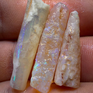 24.2cts - 3x Opalised Belemnite Geological Specimens from South Australia