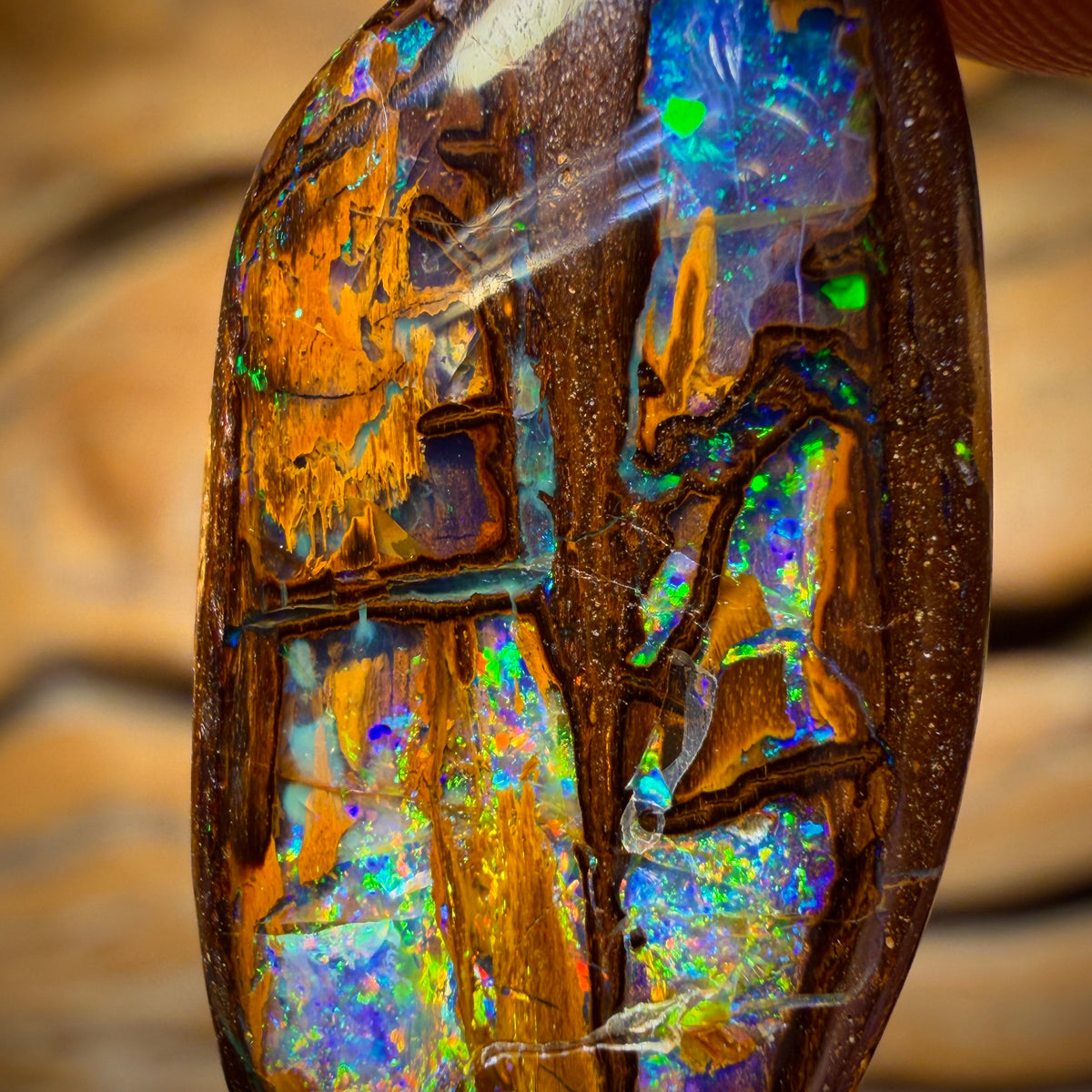 17.9cts - “Cathedral” Top Wood Fossil Replacement Boulder Opal from Yowah
