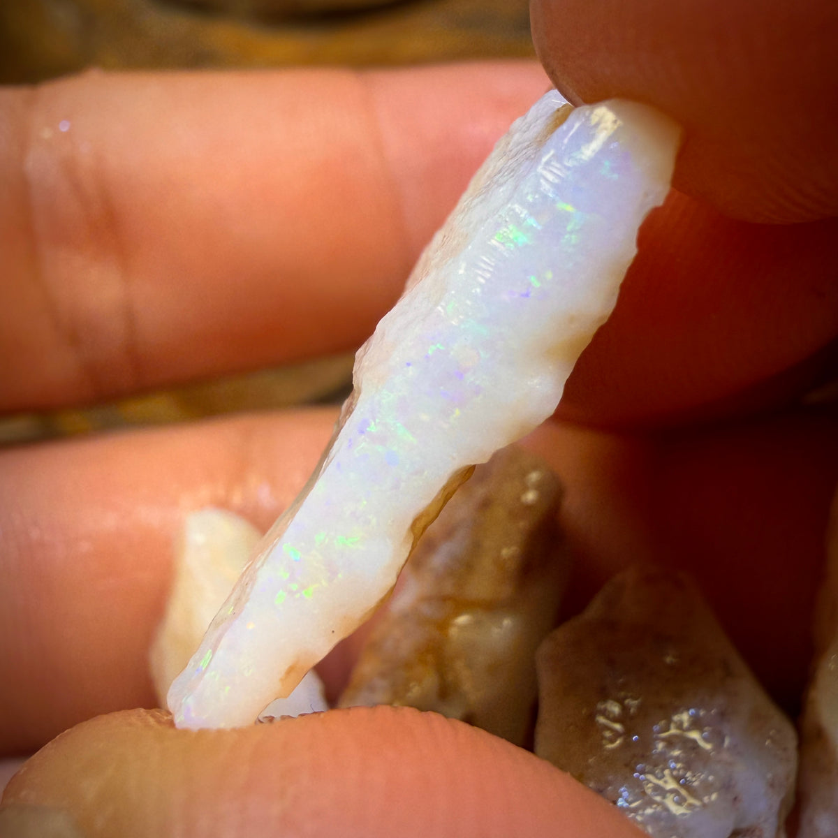 🔨 AUCTION 🔨 44.5cts - 5x South Australian White Opal Rough Parcel