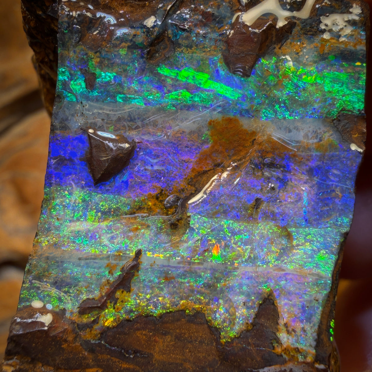 377.3cts - Top Seam + Tribal Queensland Boulder Opal Rough Piece