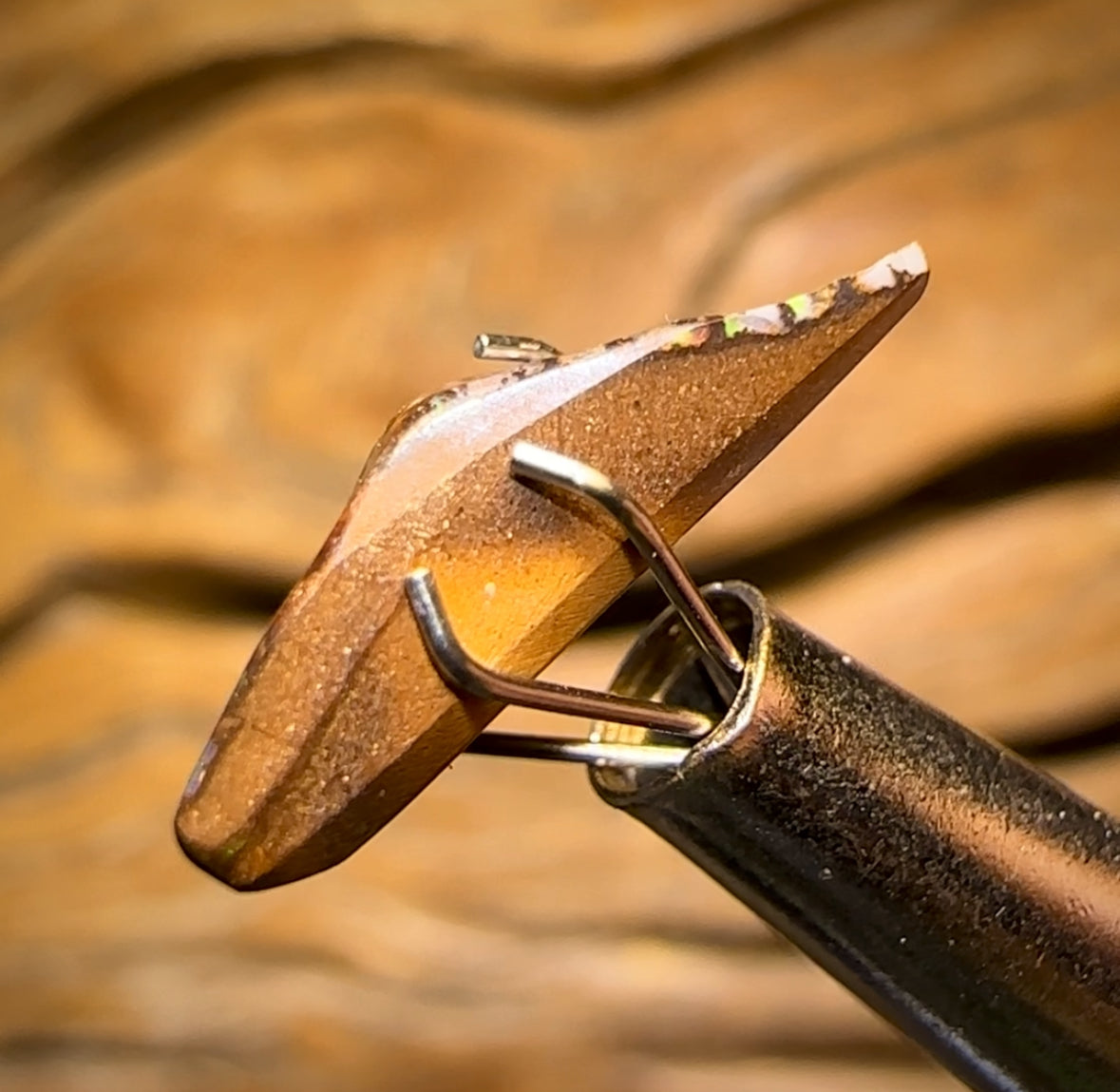 Auction Fall-Through = Your Gain! 🔥 Now More Than 50% Off RRP 🚨 3.2cts - Rare Queensland Boulder Opal Fossil Wood Rub from Yowah with Red