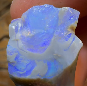 48.5cts - Lightning Ridge Opal Rough Piece