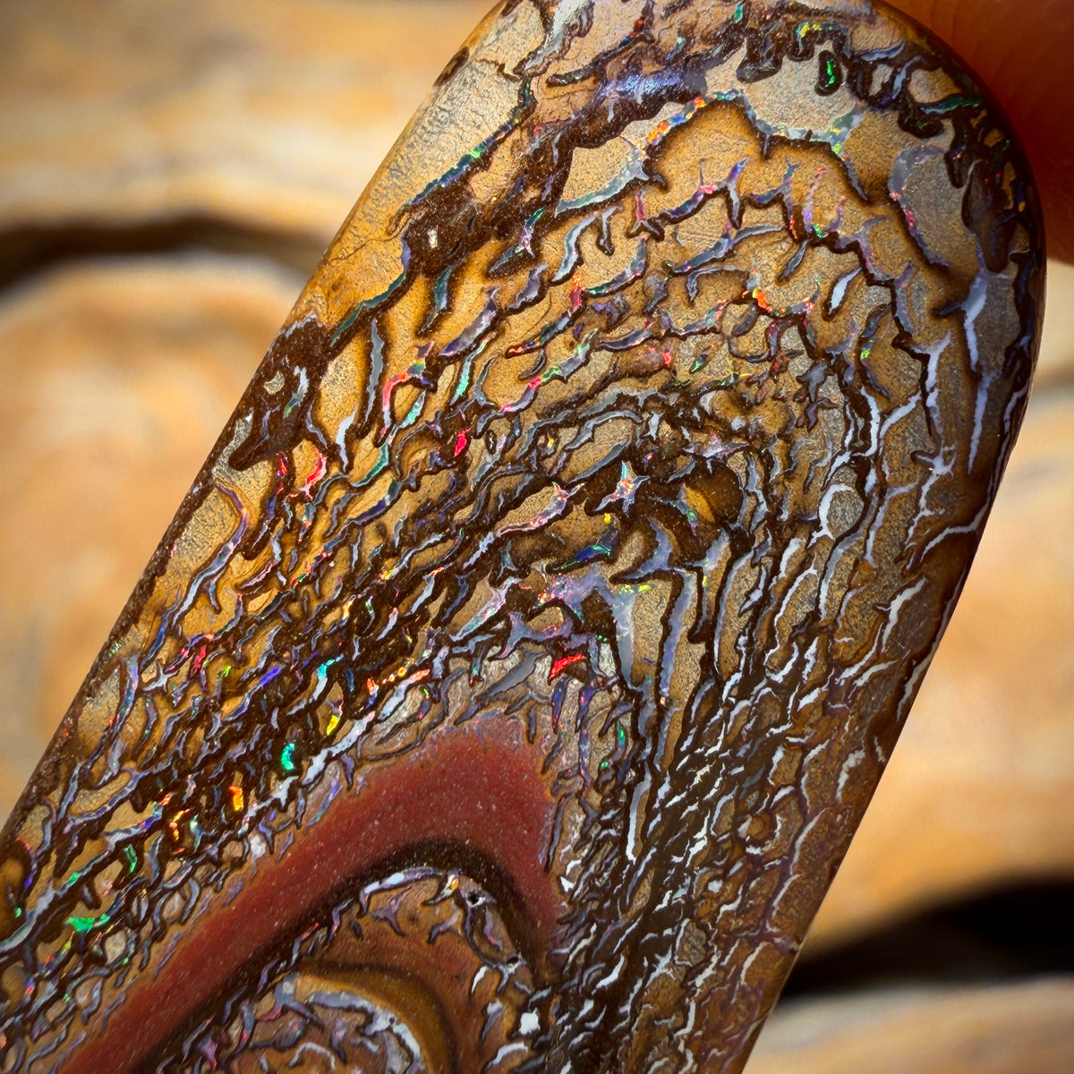 54cts - WILD CARD Tribal Yowah Nut Opal. Australian Opal