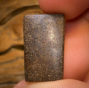 18.6cts - GEM Queensland Boulder Seam Opal. MULTICOLOURS!