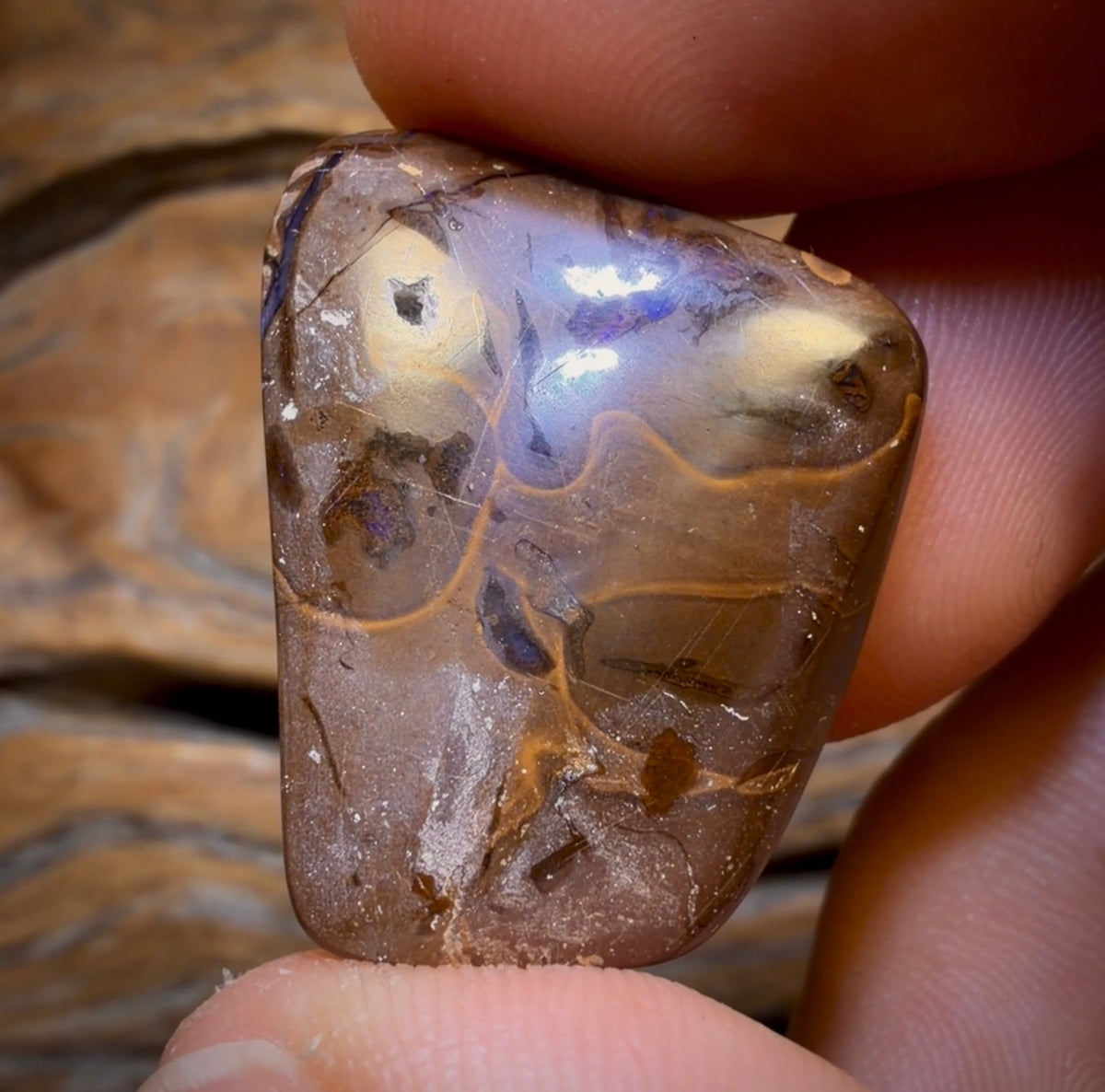 35.1cts - GEM Rare Queensland Boulder Black Opal