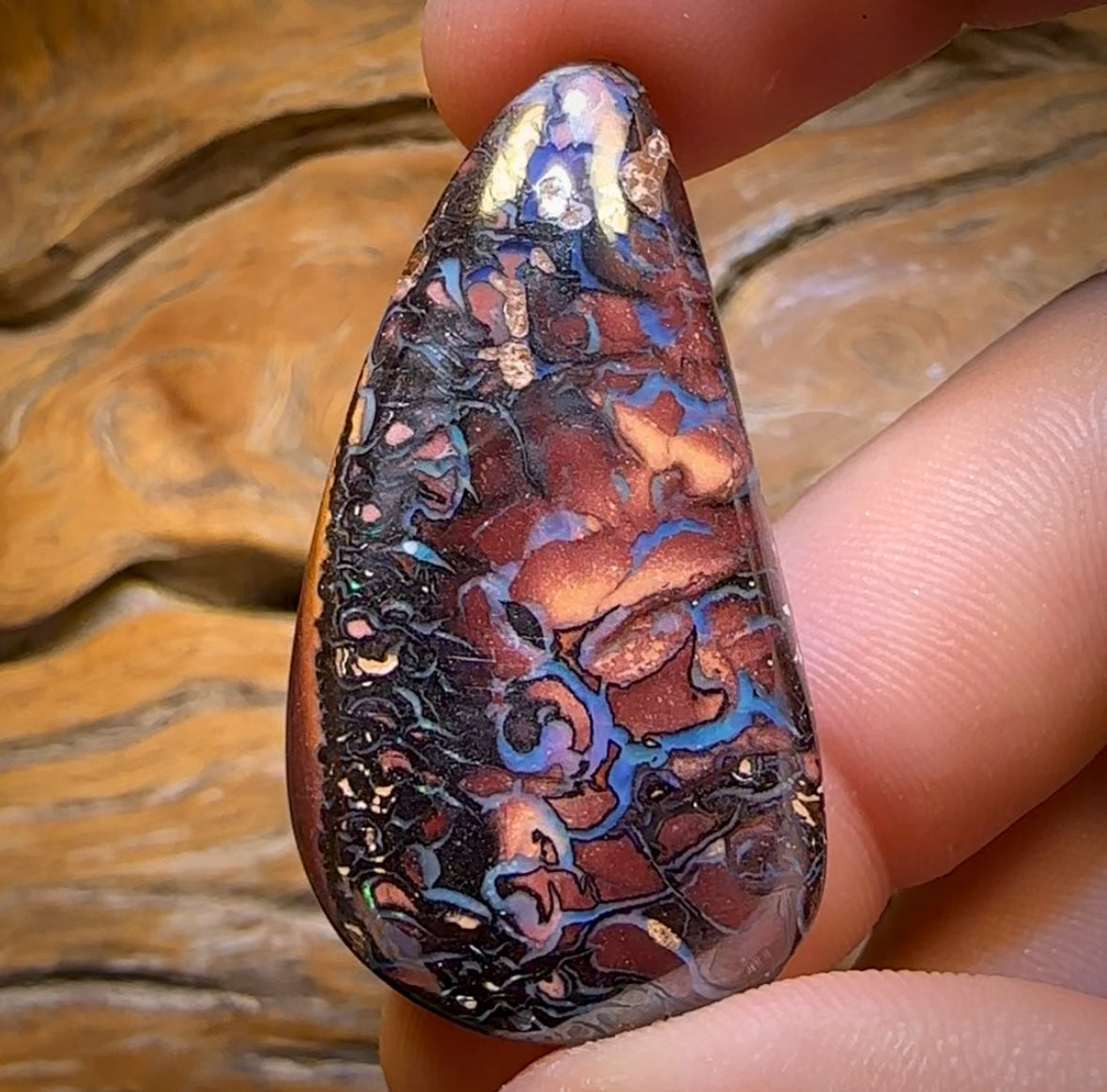 67.5cts - Tribal Queensland Boulder Opal from Koroit