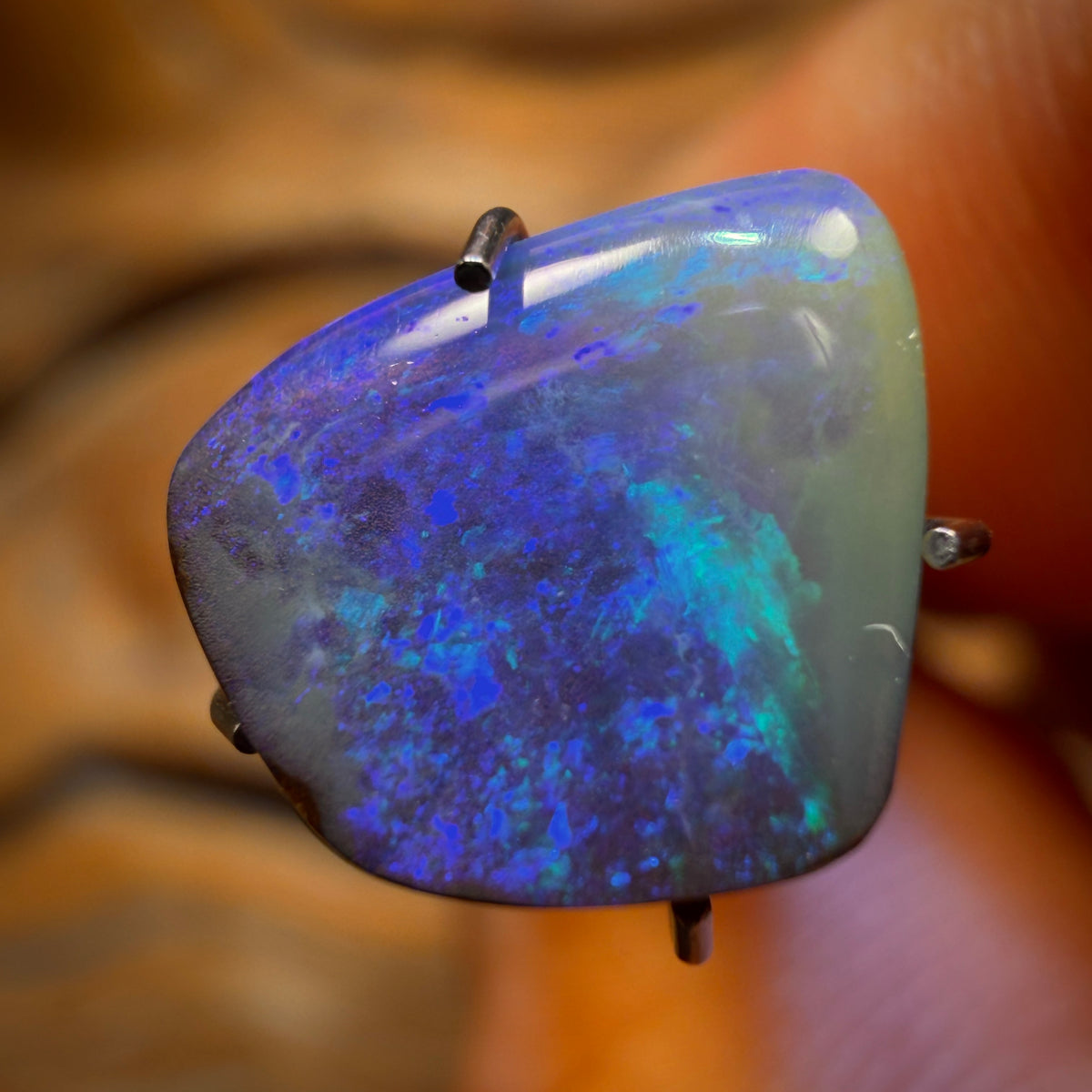 2.1cts - Grab it quick Australian Boulder Seam Opal