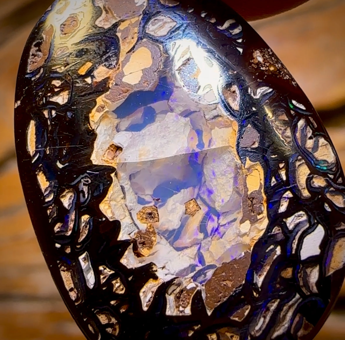 42.7cts - RARE Koroit Nut Crystal Centre Opal