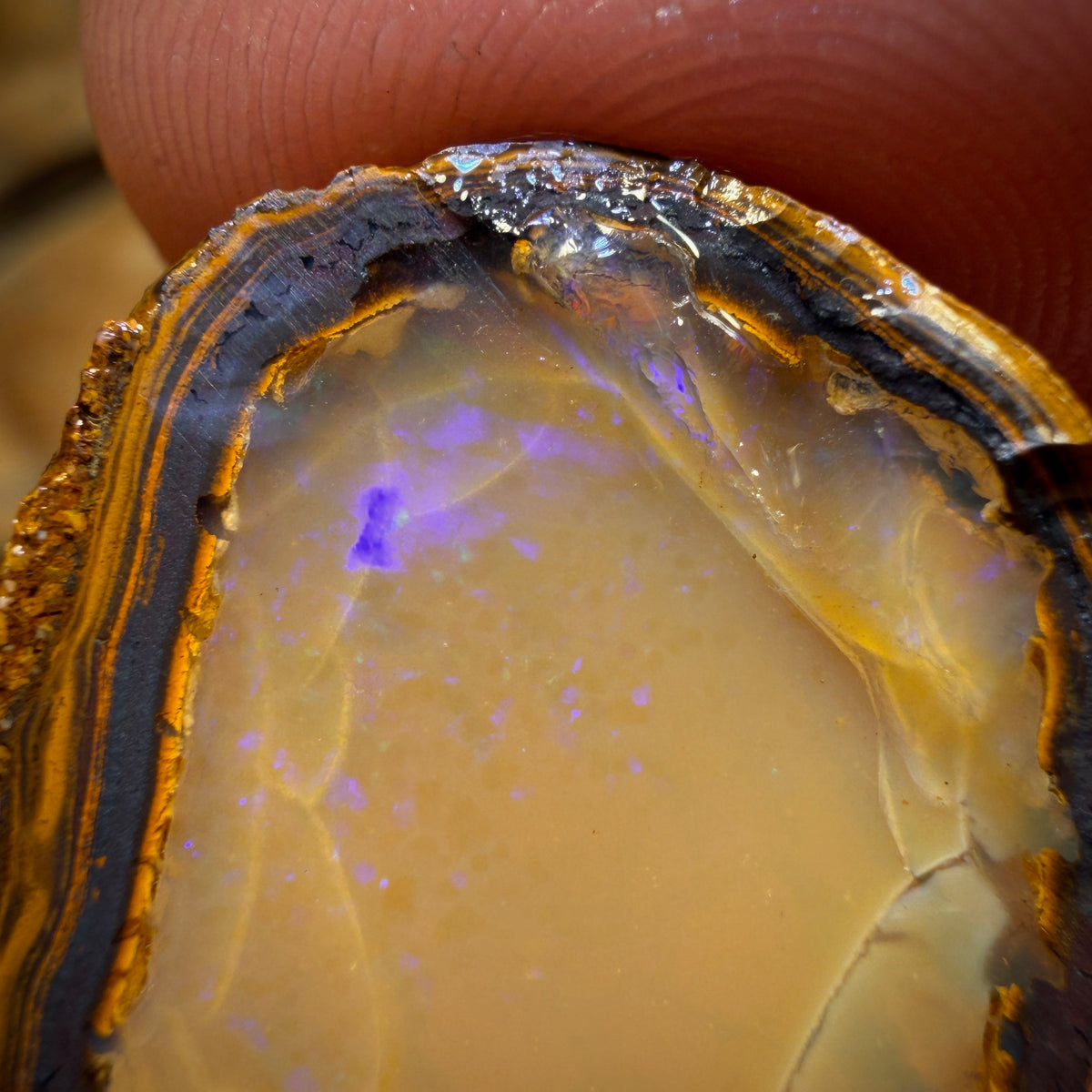 Awesome 🔨 AUCTION 🔨 Action  29.7cts - Yowah Nut Crystal Centre Opal Rough Half