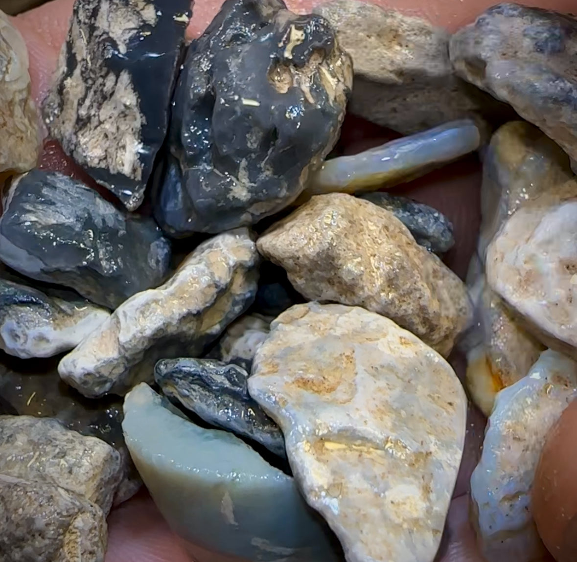 278.7cts - 36x Lightning Ridge Opal Rough Parcel. Potch and Colour