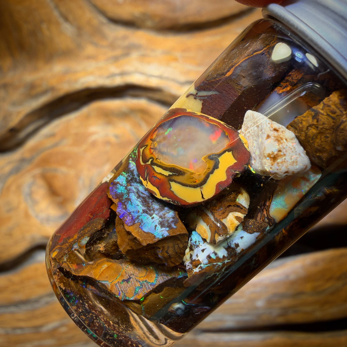 83.9cts - Jar of Yowah Nut Opal Rough w/ Fossil Opal