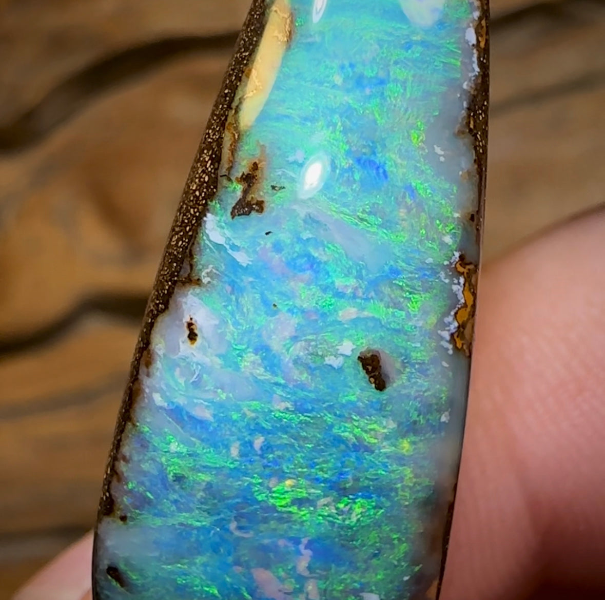 43.4cts - Big Solid Queensland Boulder Opal from Winton - Opal Whisperers