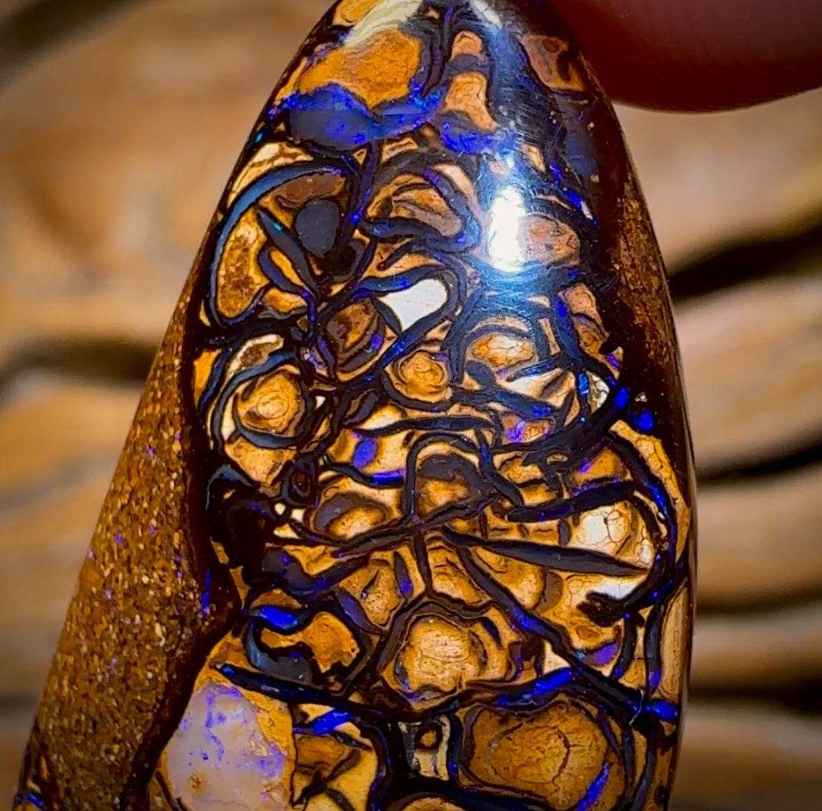 🔨 AUCTION 🔨 28.6cts - Tan Tribal Yowah Nut Opal. Australian Opal