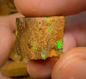 125g - 50 x Queensland Boulder Pipe Opal Rough - Opal Whisperers