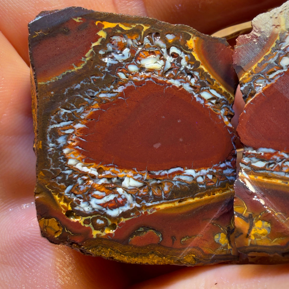 Roadshow Wild Card!284.8cts - Yowah Nut Tribal Opal Rough Specimen Pair