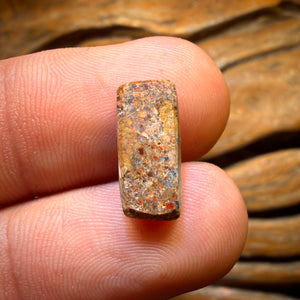 3.6cts - “Land of Ice” Solid Australian Boulder Pipe Opal