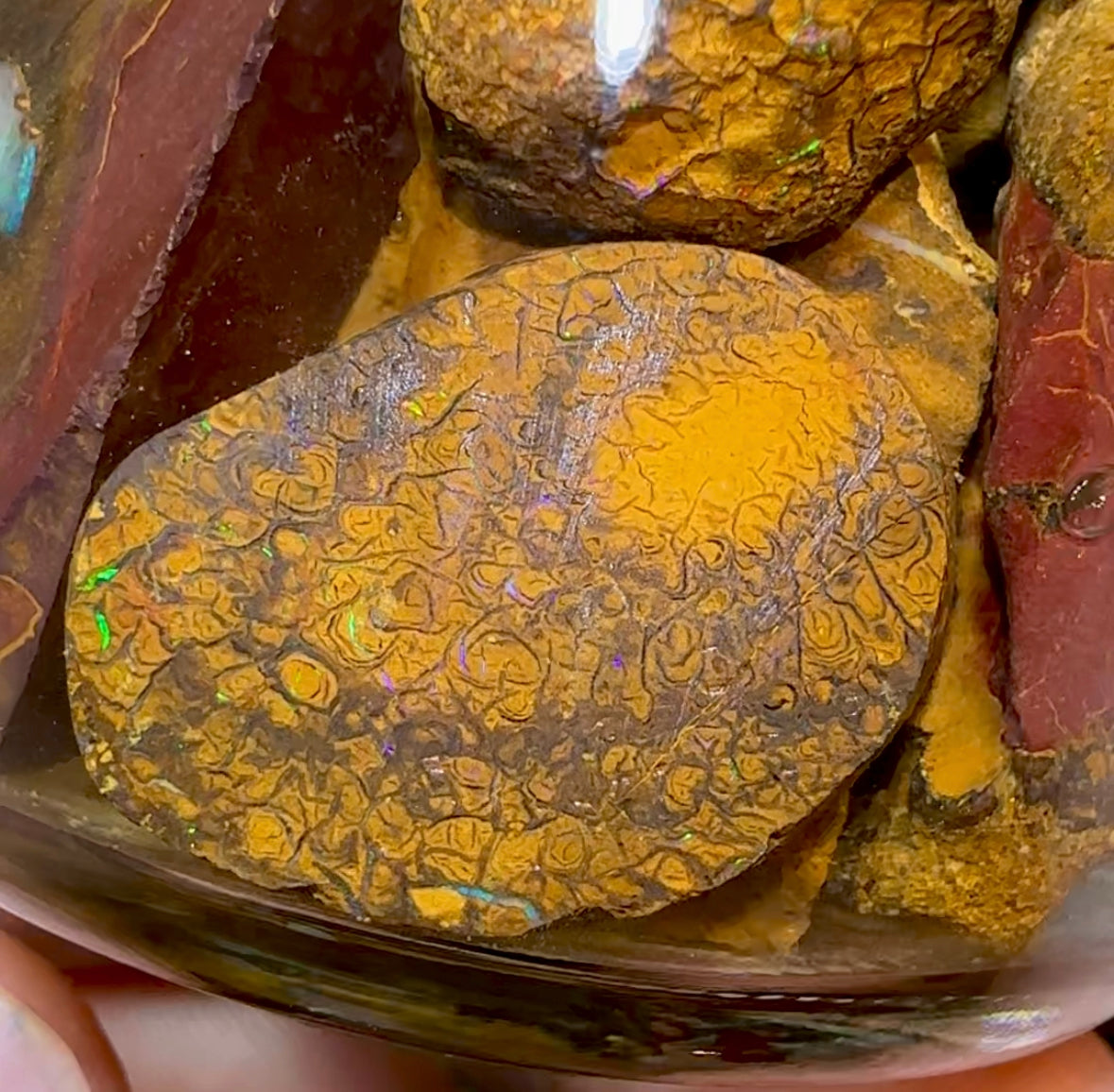 133.1g - Jar of Rough Australian Boulder Opal - Opal Whisperers