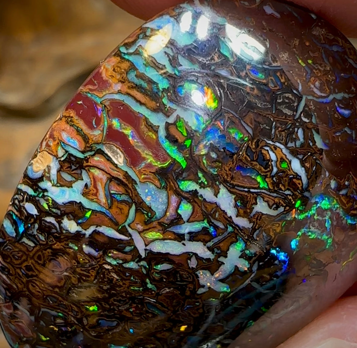 92.4cts - Tribal Koroit Nut Opal - Opal Whisperers